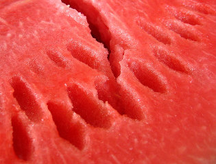 Wassermelone für weight loss